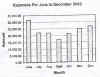 graph 2.jpg (55291 bytes)